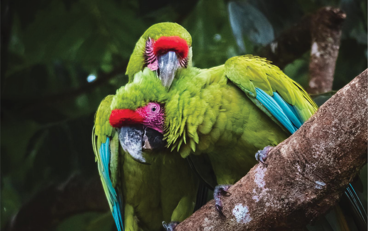 costa rica